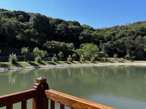 20240925 101627205 iOS