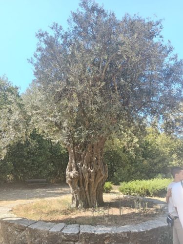 photo 2025-09-30 10-34-12