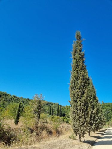 photo 2025-09-30 10-36-48 (1)